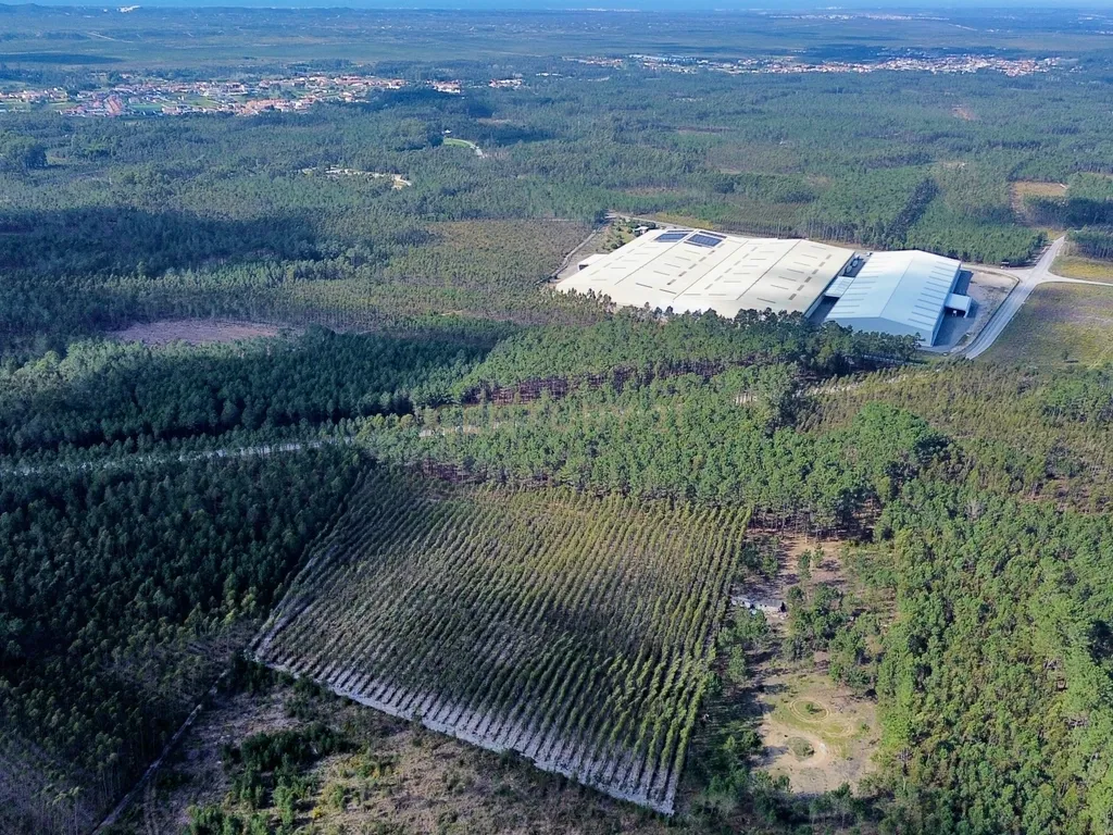 Terreno na Marinha Grande - Image 15