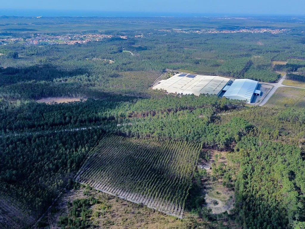 Terreno na Marinha Grande - Image 13