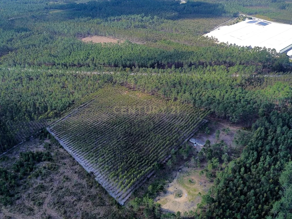 Terreno na Marinha Grande - Image 18