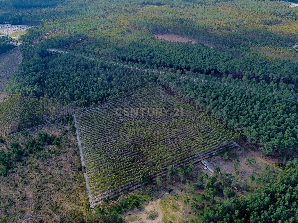 Terreno na Marinha Grande - Image 10