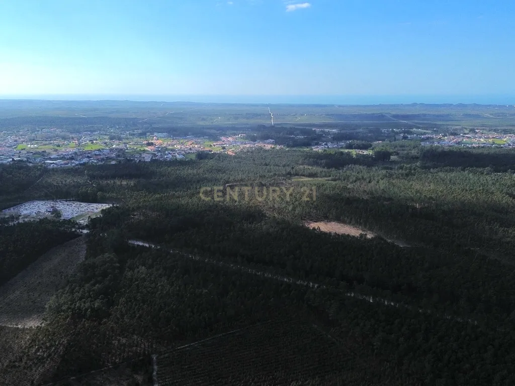 Terreno na Marinha Grande - Image 14