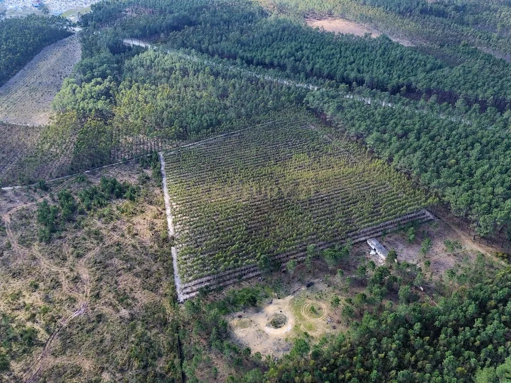 Terreno na Marinha Grande - Image 7