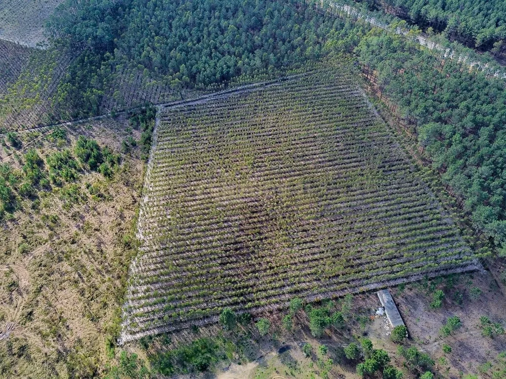 Terreno na Marinha Grande - Image 16