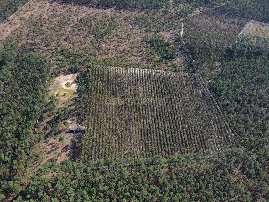 Terreno na Marinha Grande - Image 12