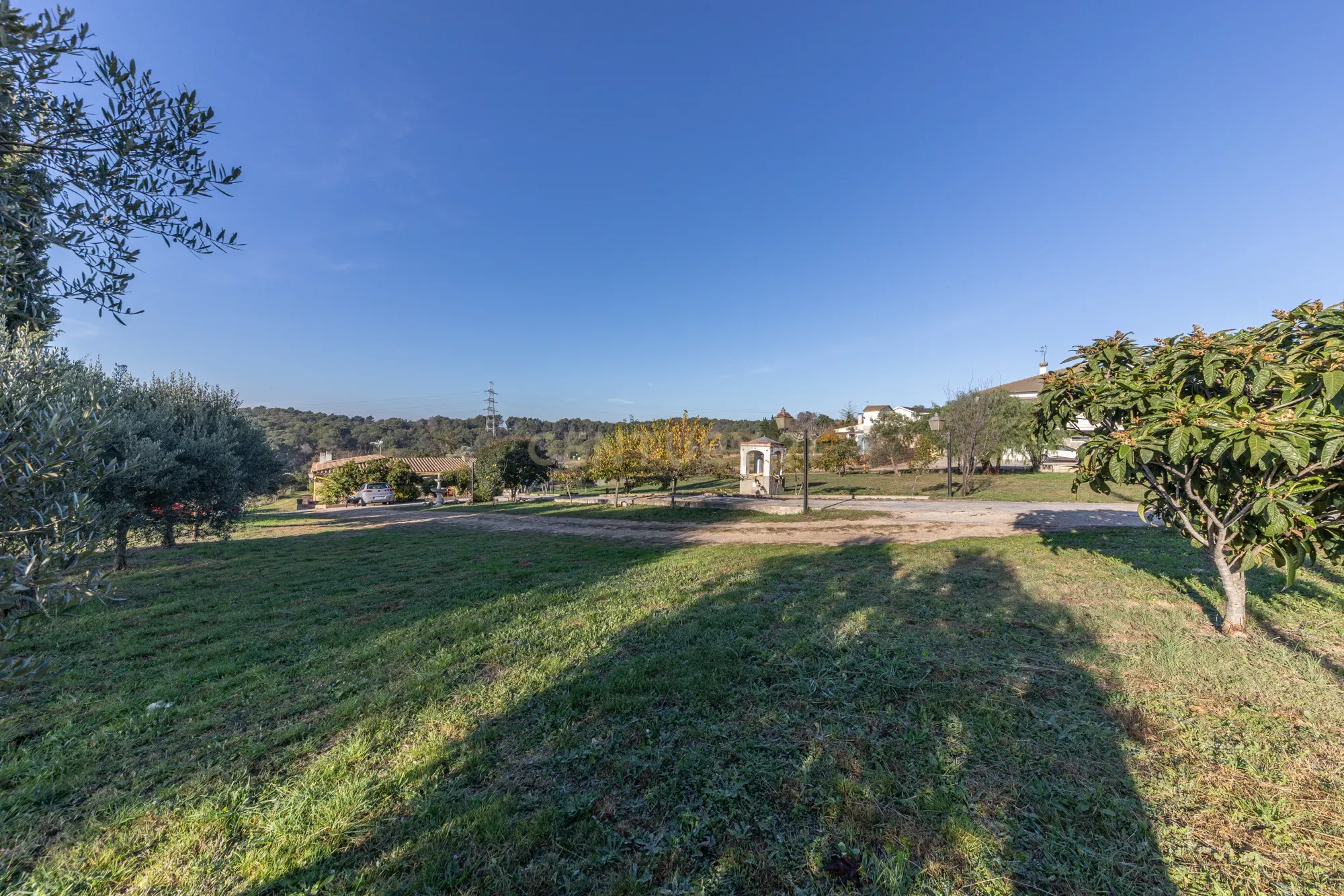 undefined - Image 6