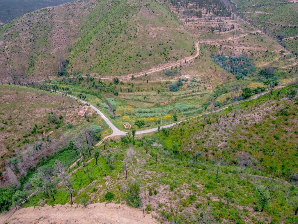 Terreno com ruína junto a ribeira em Monchique! - Image 6