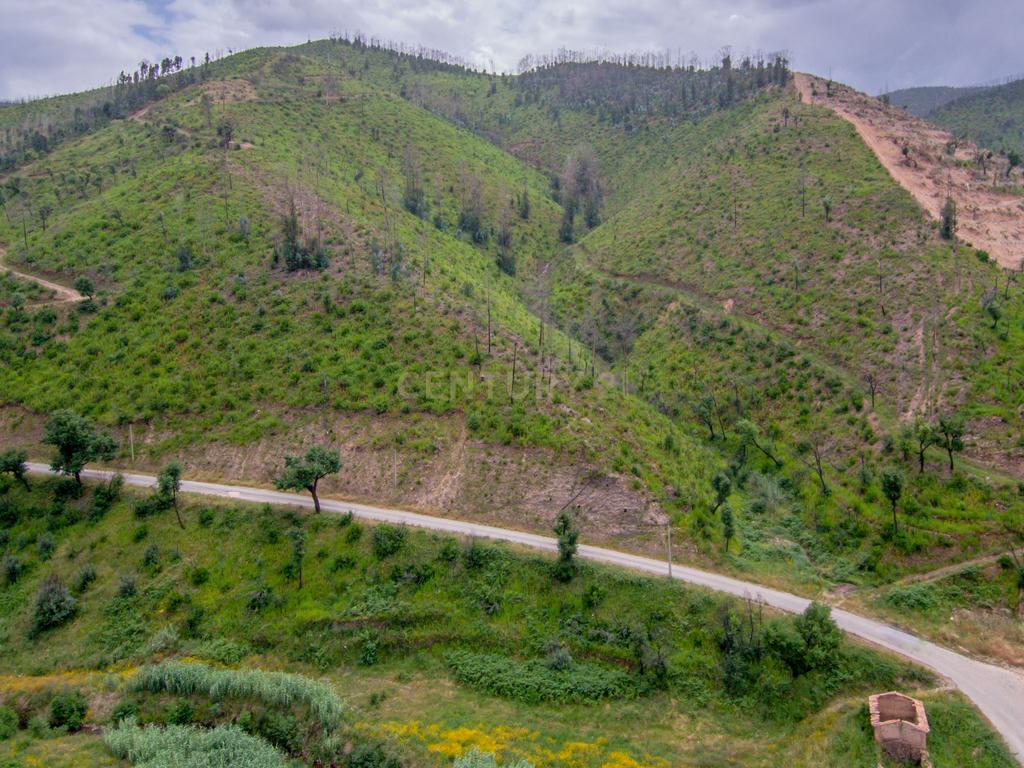 Terreno com ruína junto a ribeira em Monchique! - Image 7