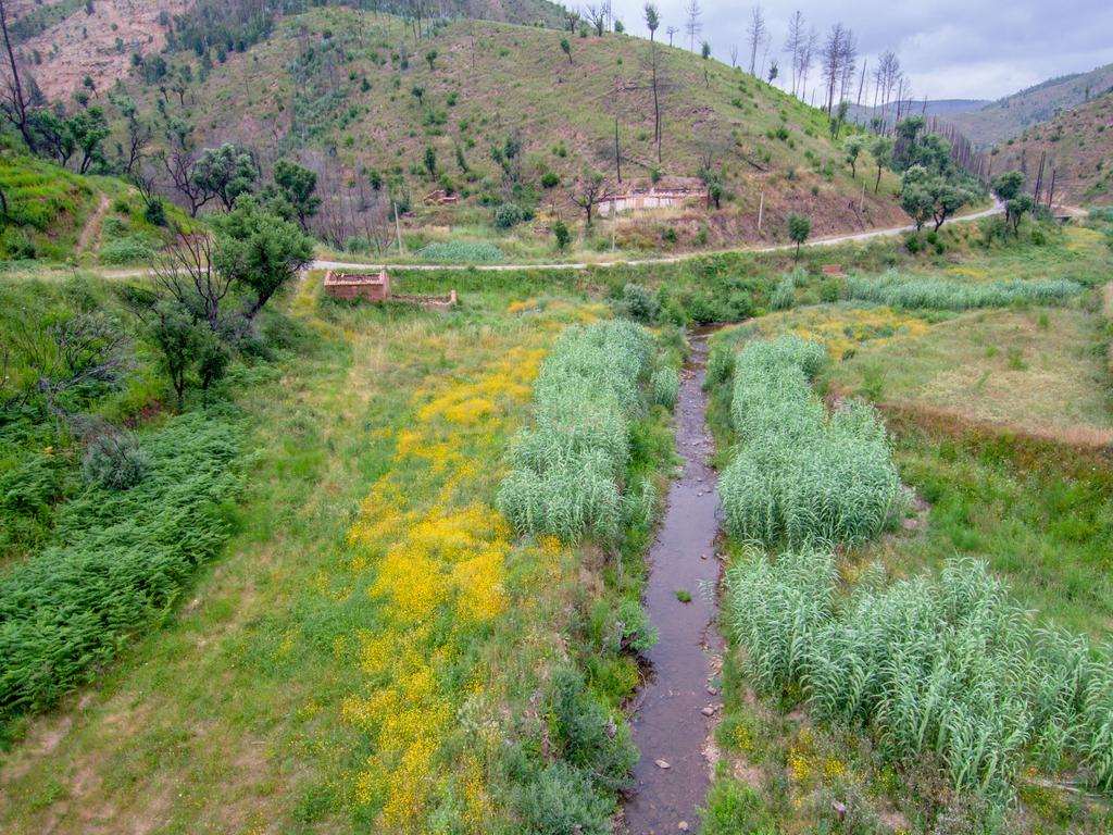 Terreno com ruína junto a ribeira em Monchique! - Image 11
