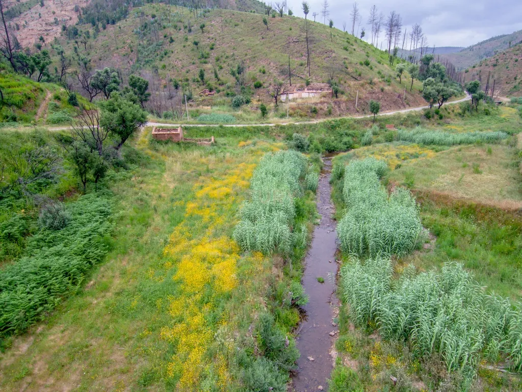 Terreno com ruína junto a ribeira em Monchique! - Image 11