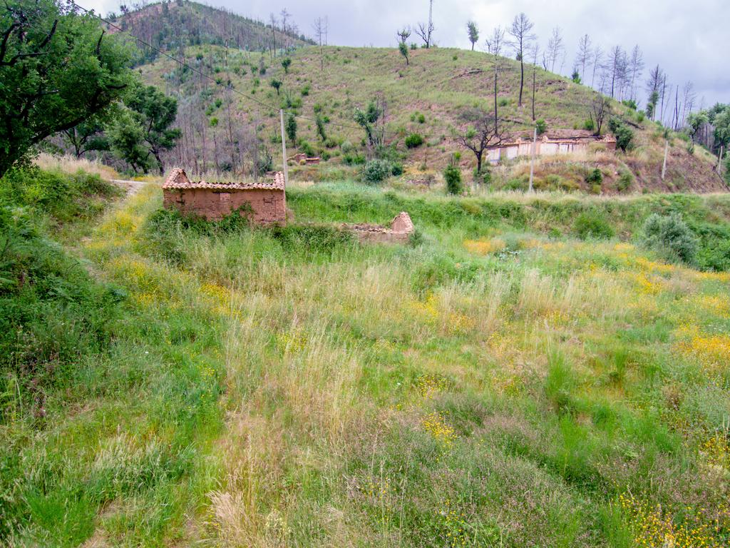 Terreno com ruína junto a ribeira em Monchique! - Image 4
