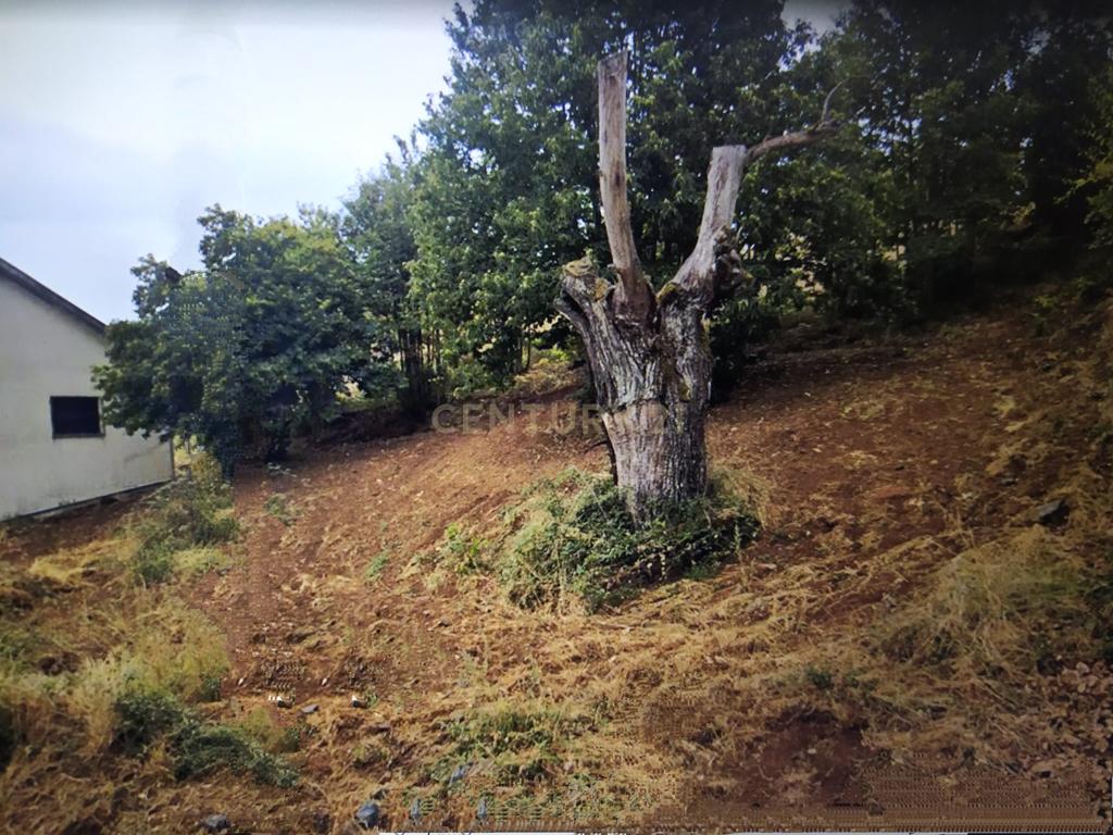 Terreno para construção de moradia - Samil, Bragança - Image 1