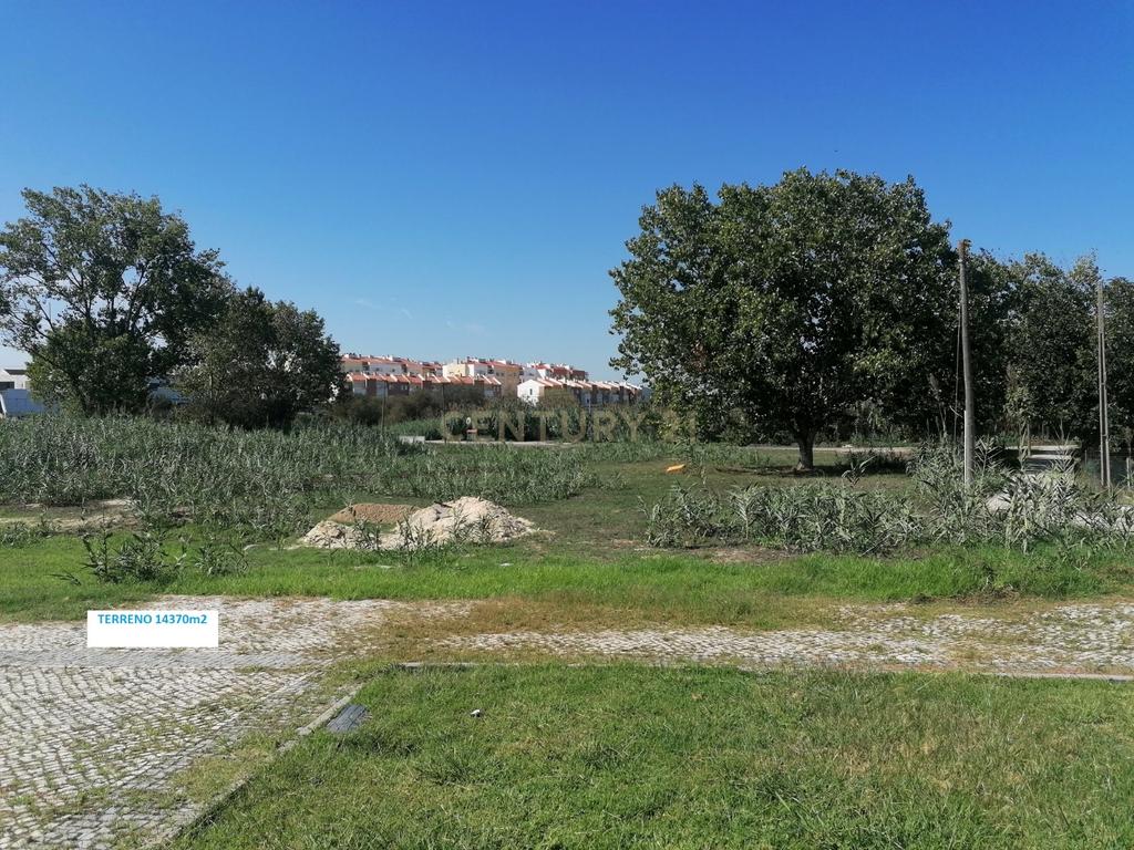 Terreno Rústico Quinta de S. João Palhais - 14370m2 - Image 4
