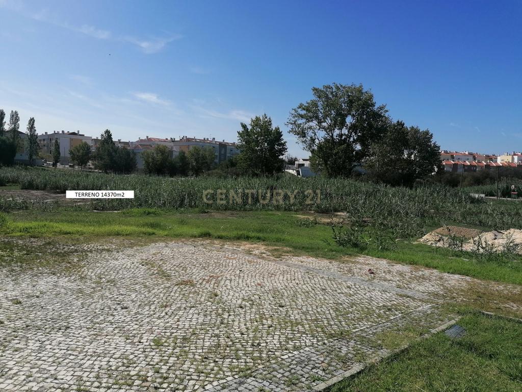Terreno Rústico Quinta de S. João Palhais - 14370m2 - Image 5
