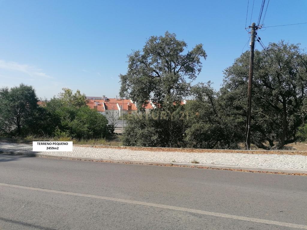 Terreno Rústico Quinta de S. João Palhais - 14370m2 - Image 6