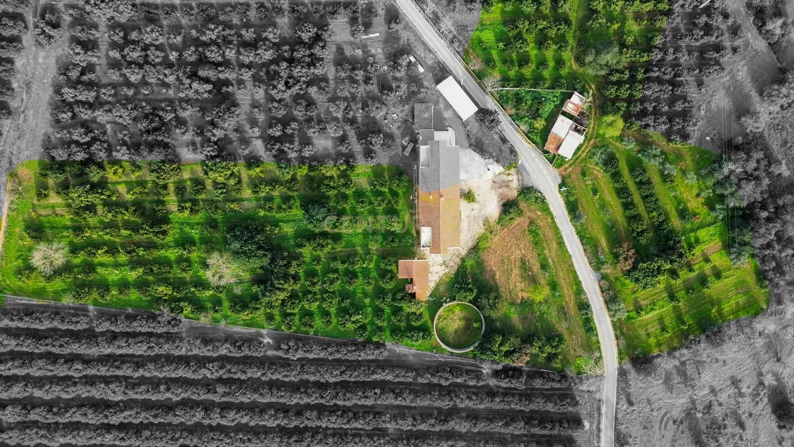 Moradia T3 | Geminada | Pomar 9480m2 | Joinal – S.B.Messines | Armazém | Casa de Apoio T2 - Image 3