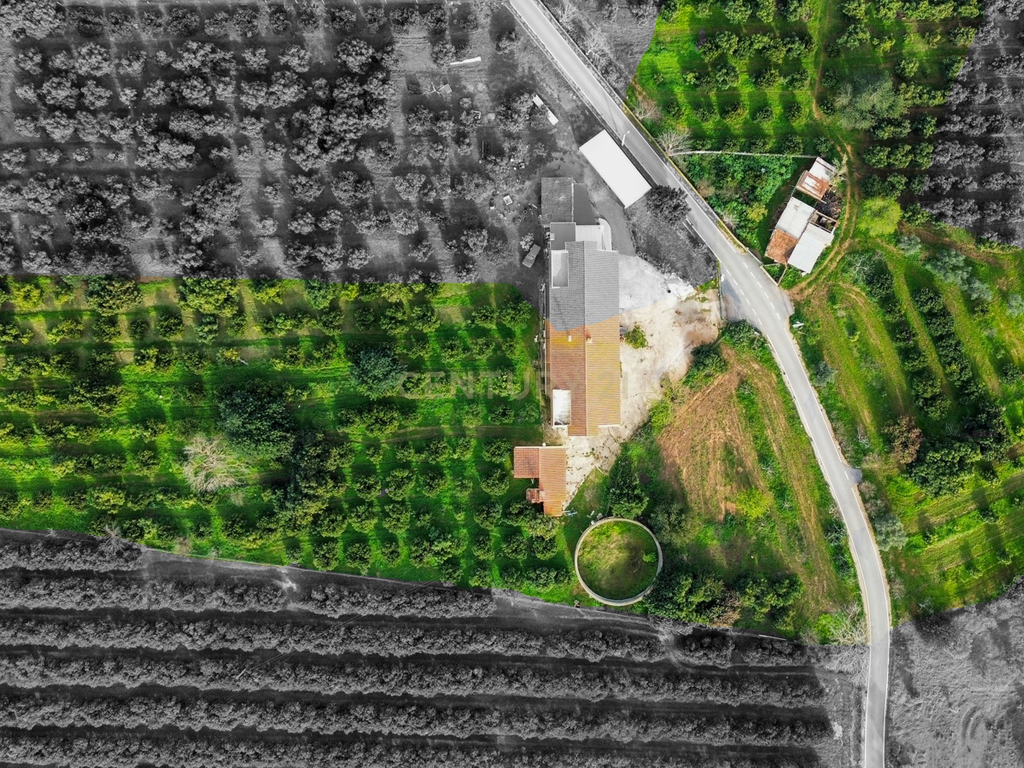 Moradia T3 | Geminada | Pomar 9480m2 | Joinal – S.B.Messines | Armazém | Casa de Apoio T2 - Image 3