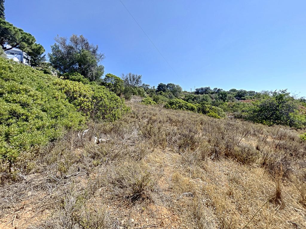 Terreno REN 4360m2 - Image 3