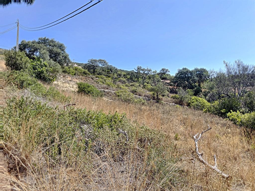 Terreno REN 4360m2 - Image 6