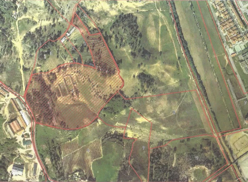 Azambuja | Terrenos vendidos em conjunto com 124.520m2 | Vistas sobre a cidade e a lezíria - Image 3