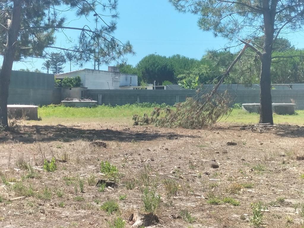 Terreno no Telheiro - Image 2
