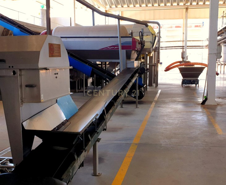 Herdades com produção Vinho, com 157,3ha situada em Terrugem, concelho de Elvas - Image 23