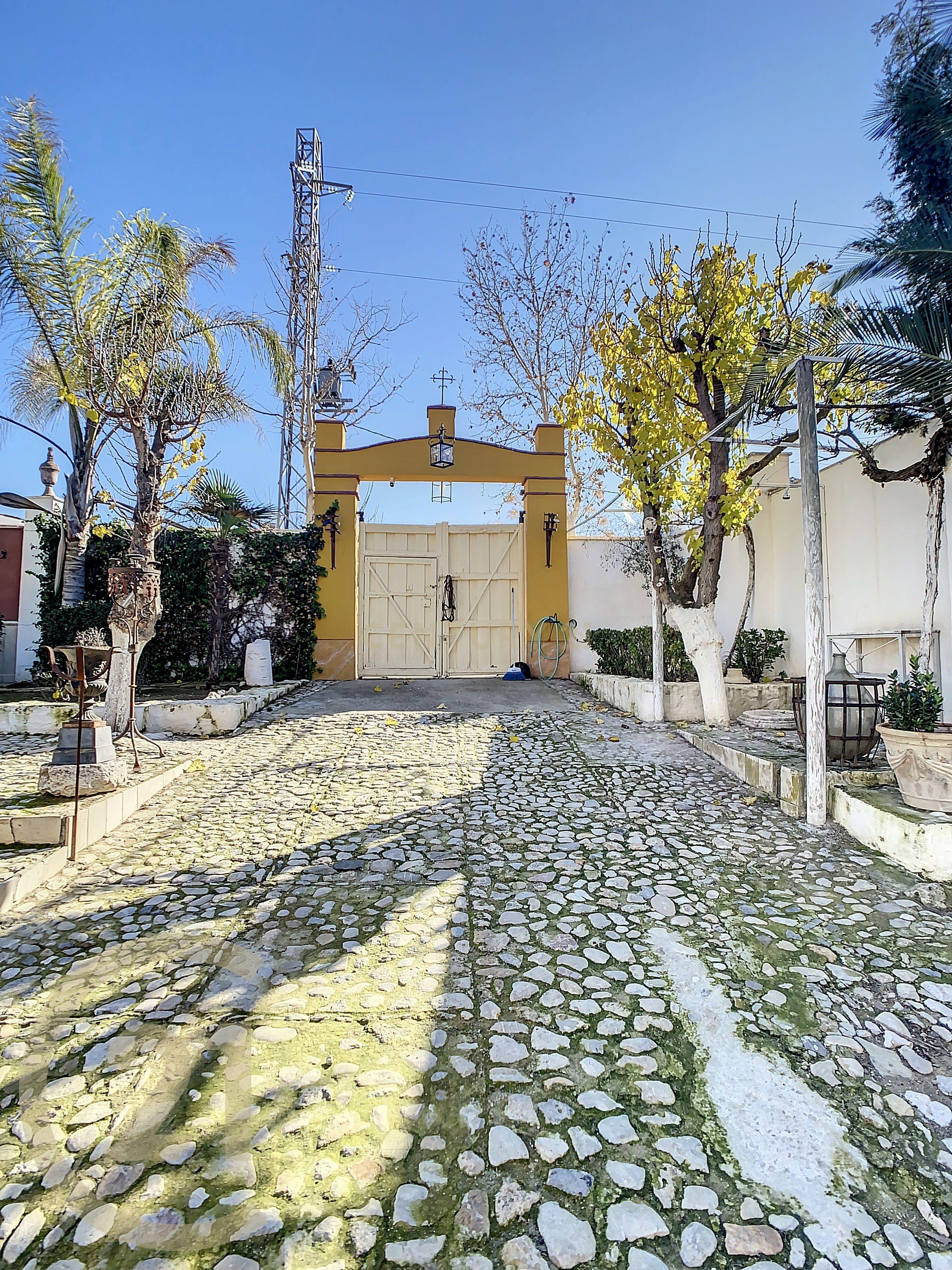 undefined - Image 85