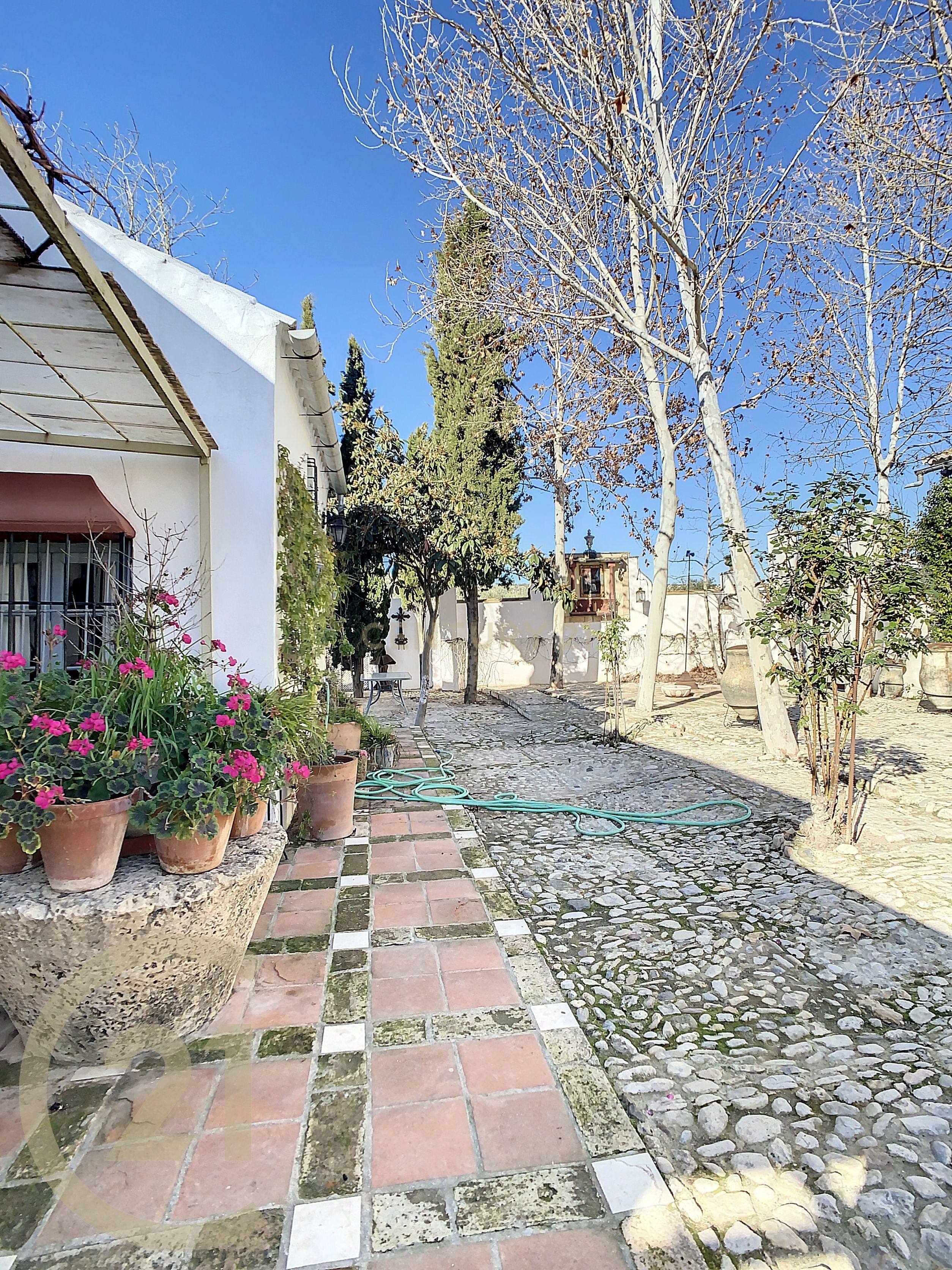 undefined - Image 81