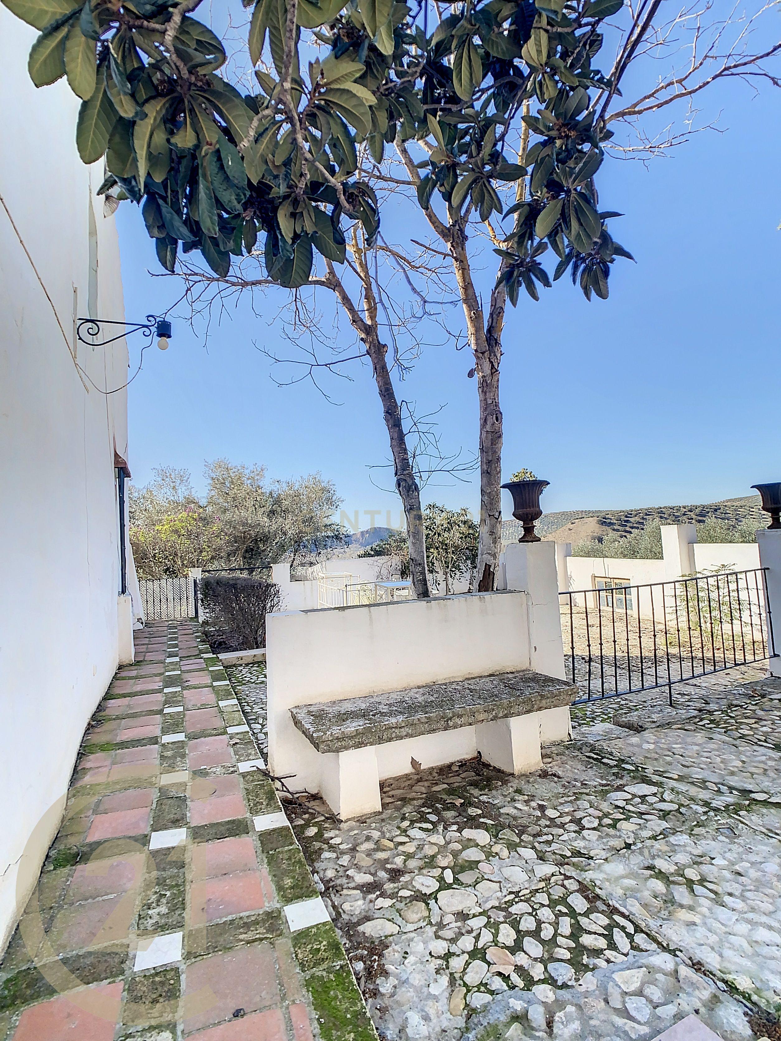 undefined - Image 79