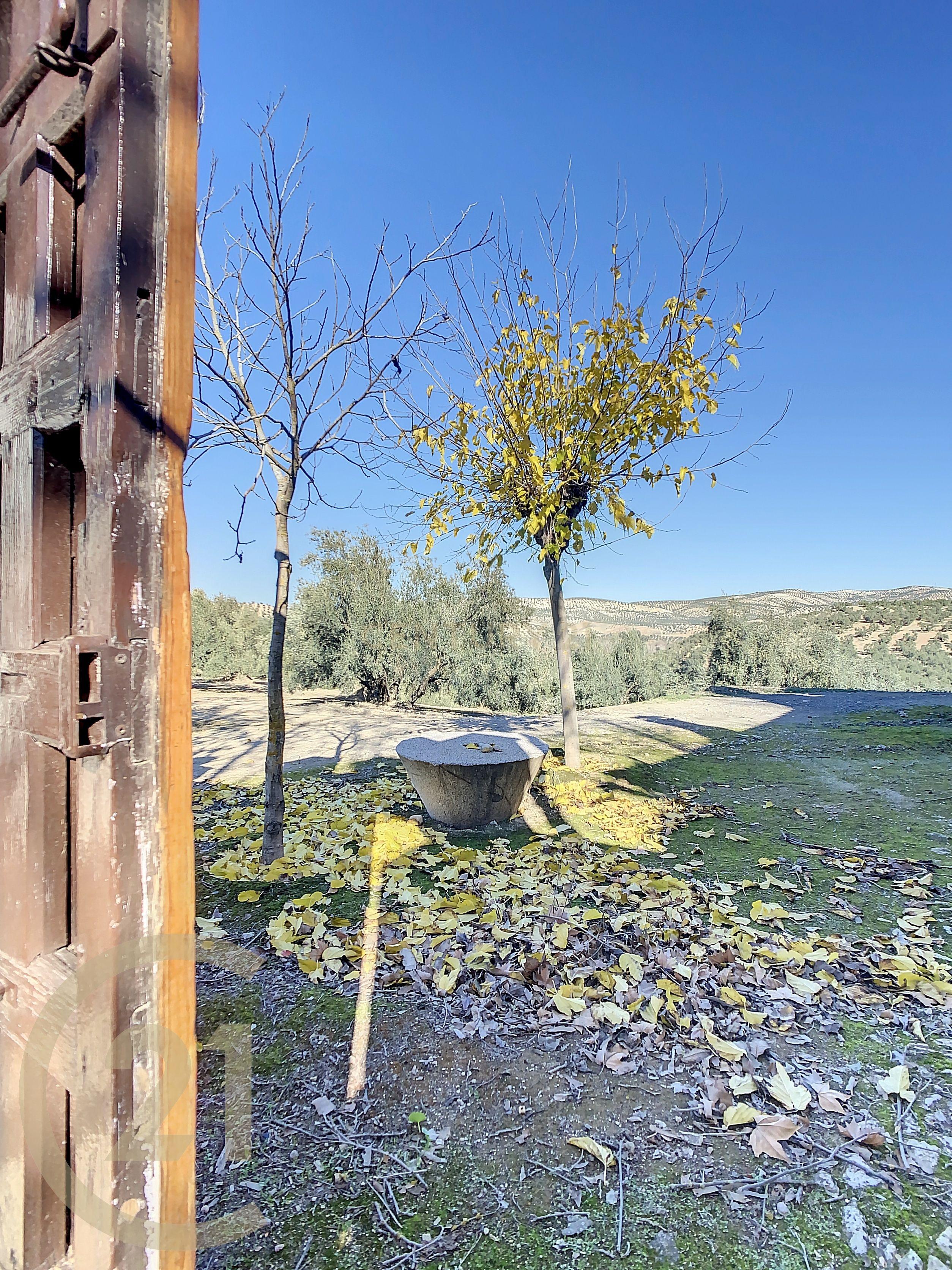 undefined - Image 74