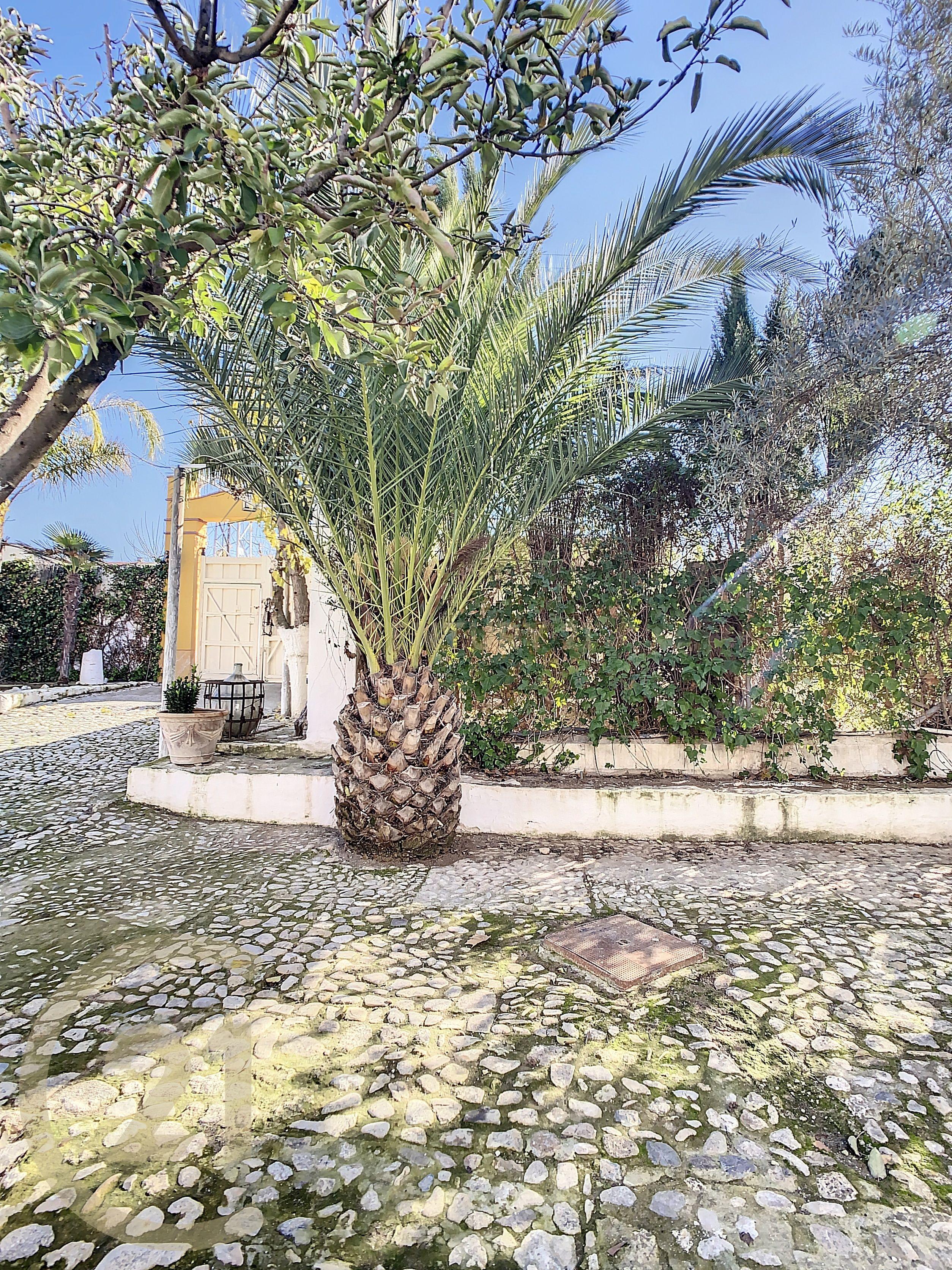 undefined - Image 70