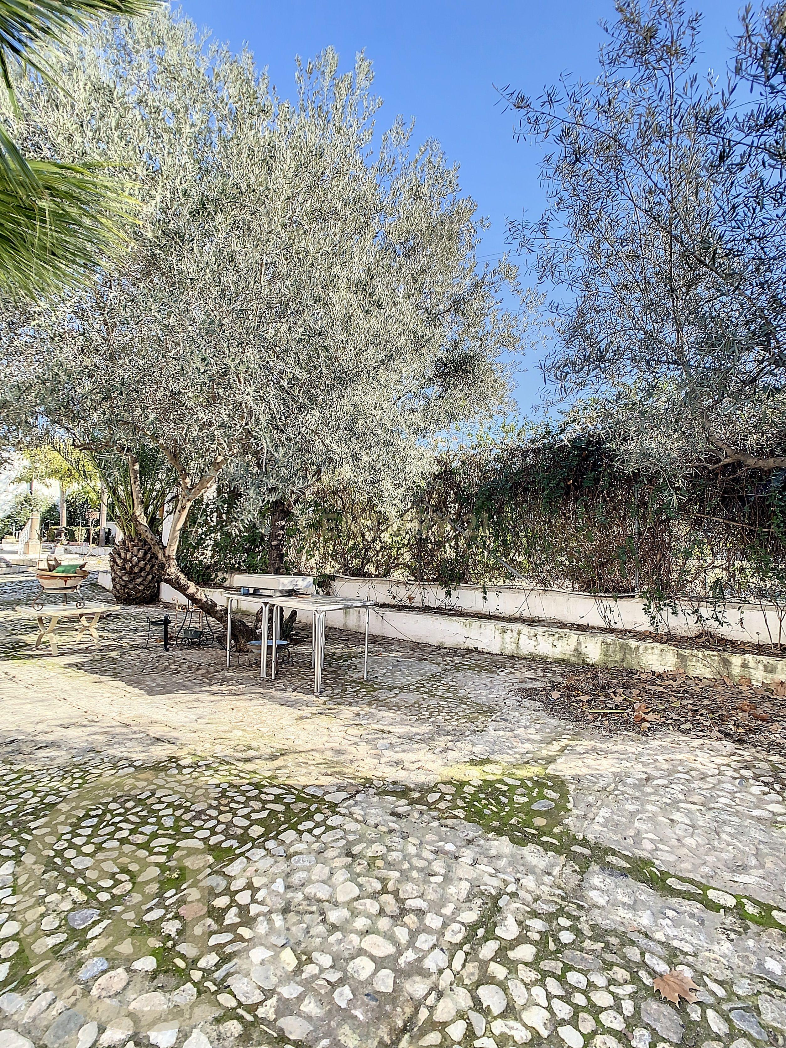 undefined - Image 48