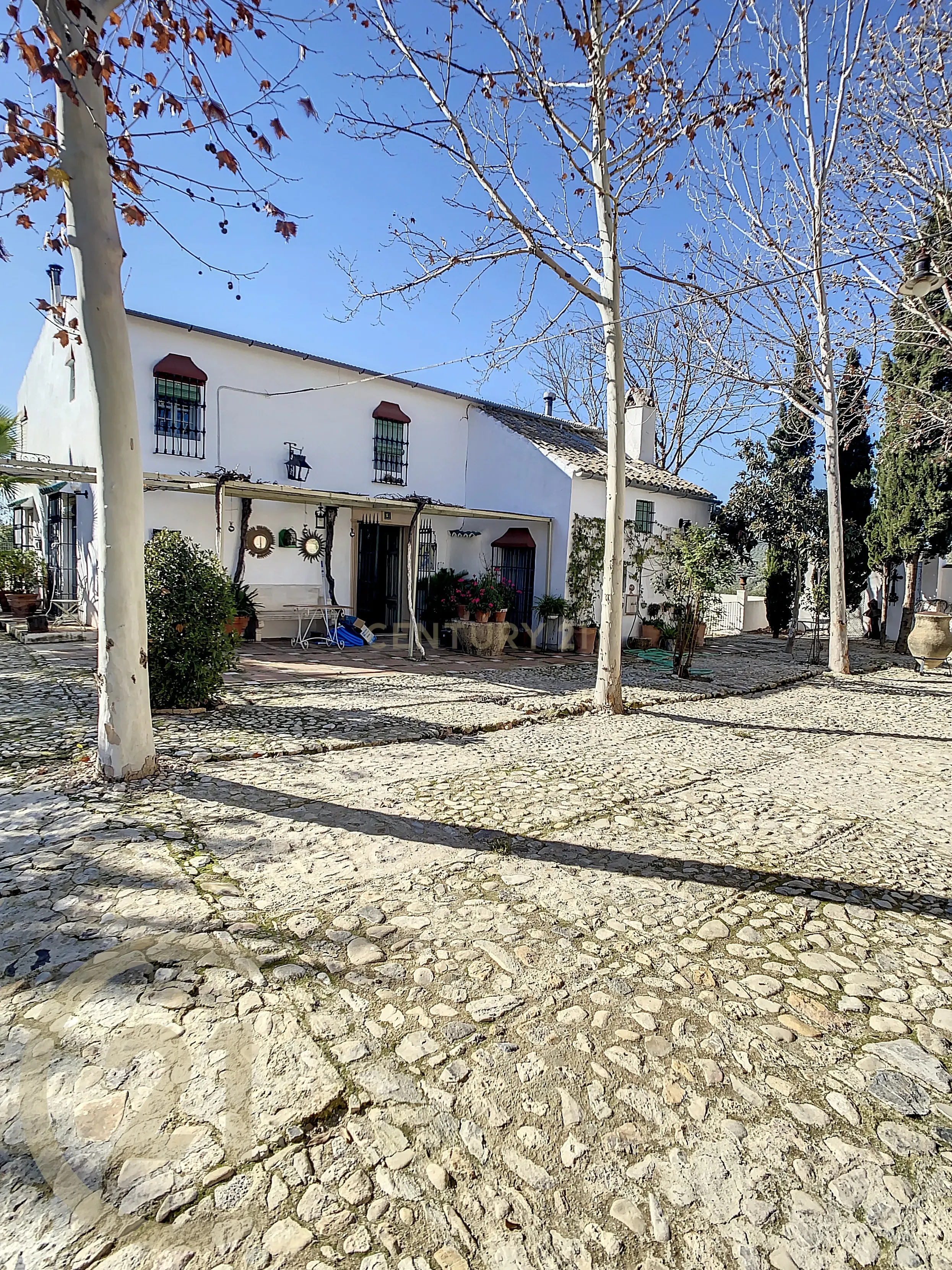 undefined - Image 28