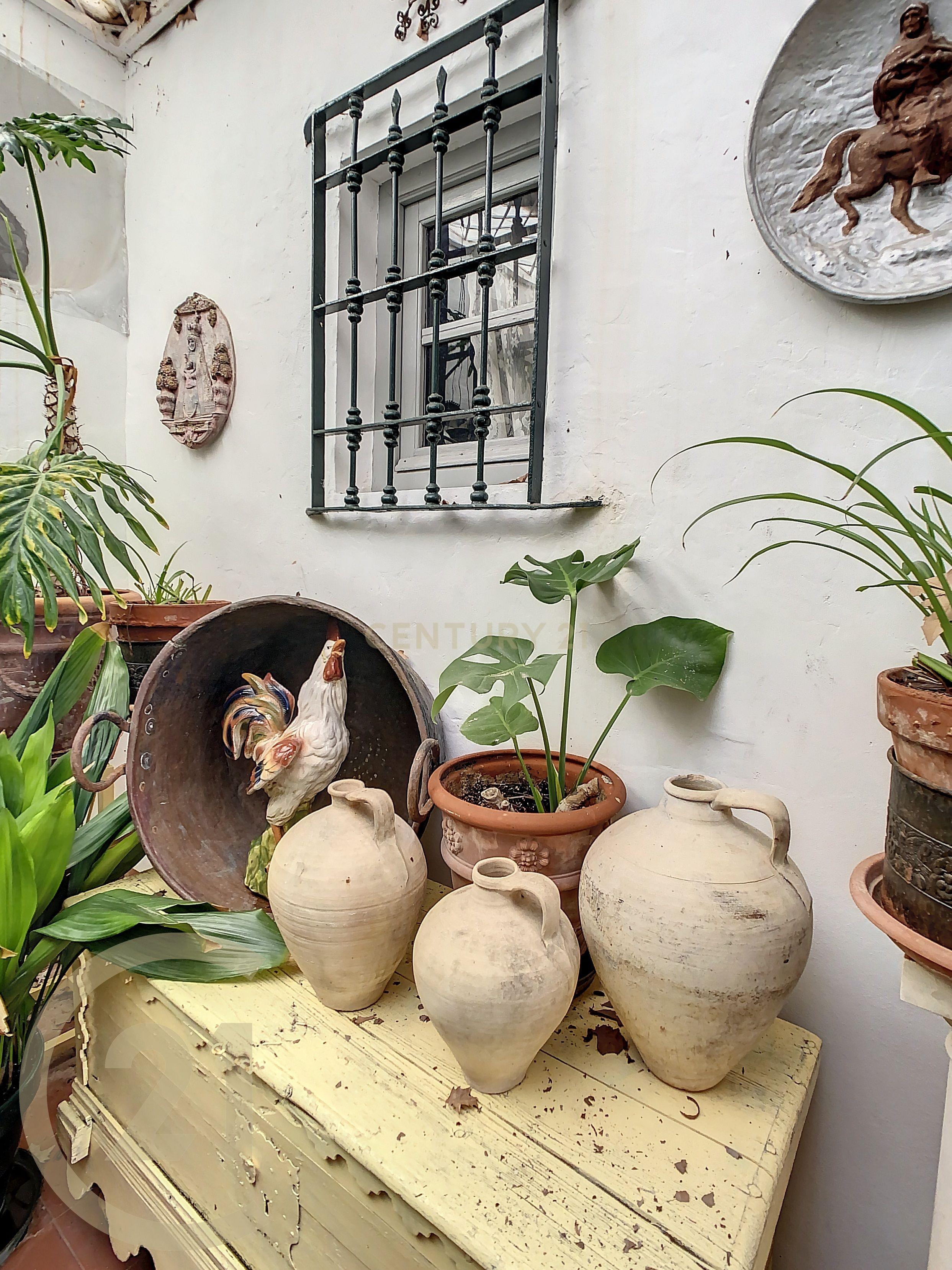 undefined - Image 6