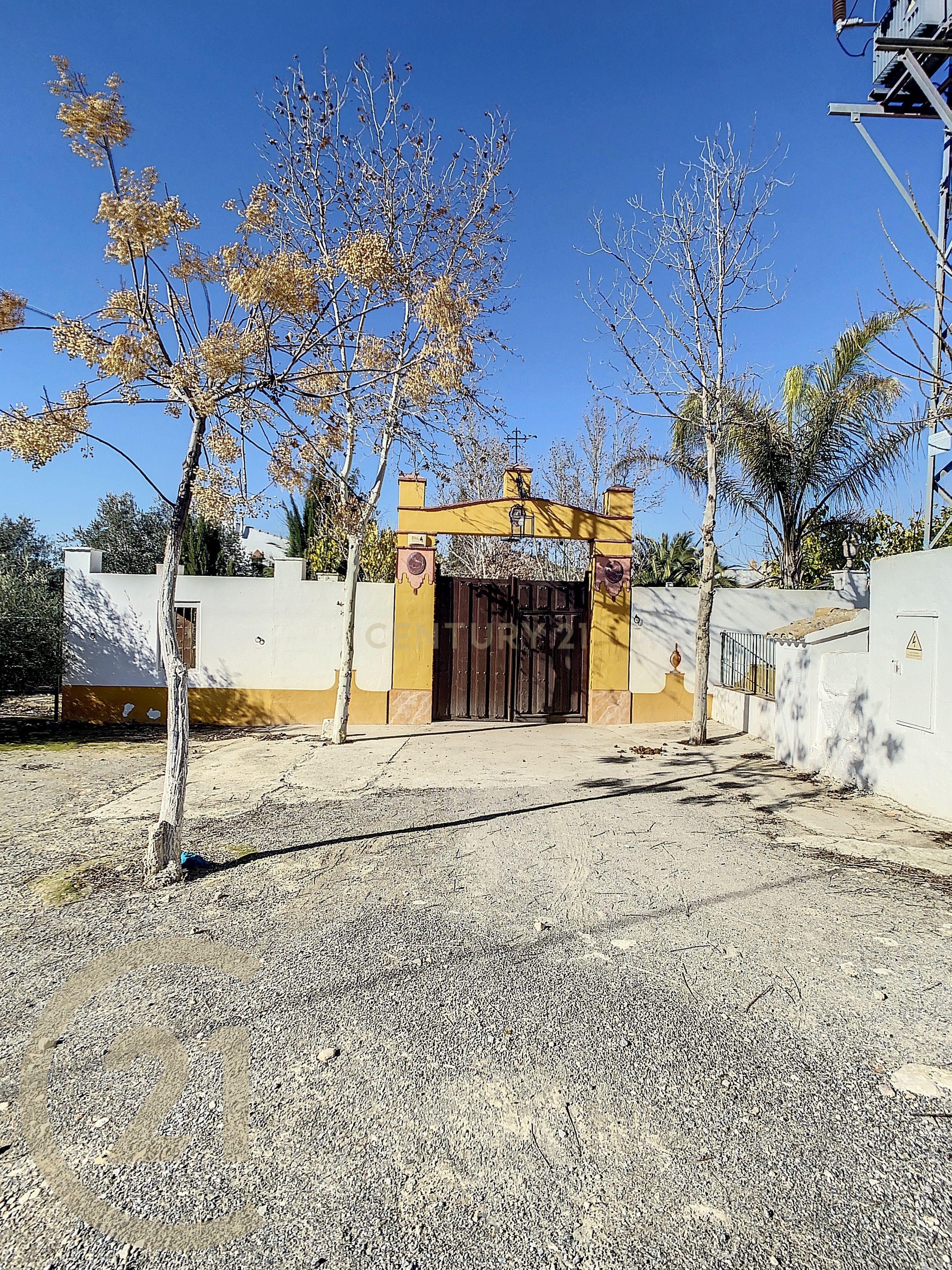 undefined - Image 83