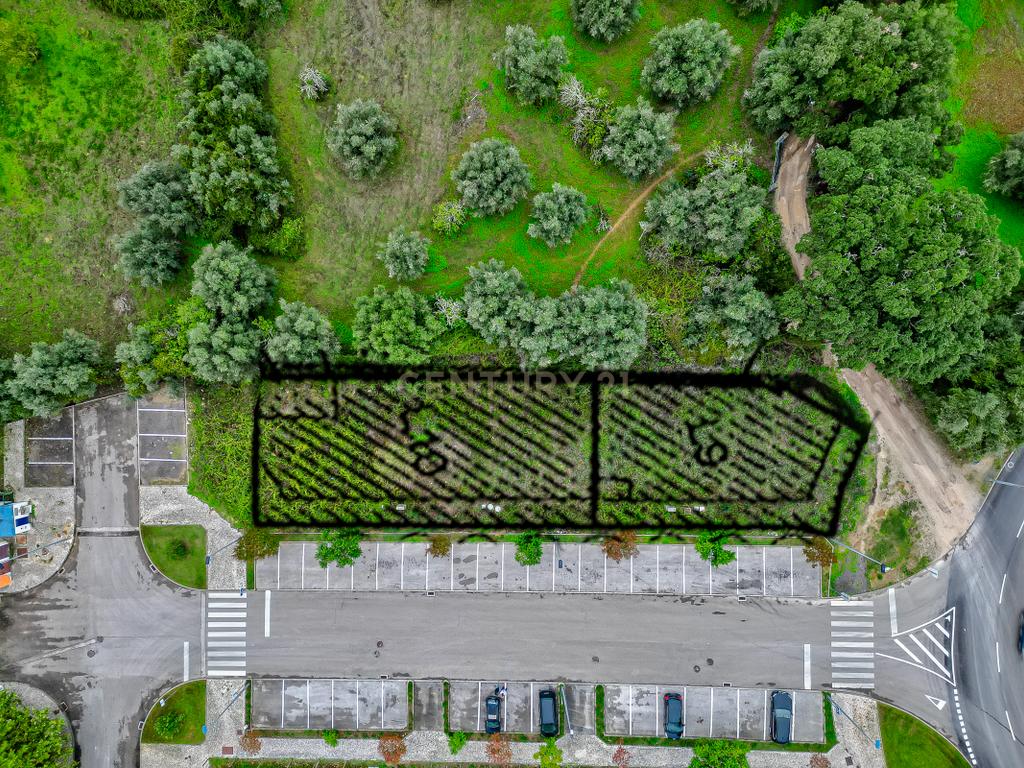Torres Novas – Terreno para construção de Edifício. - Image 5