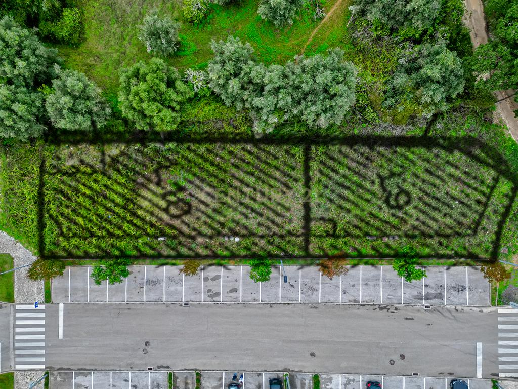 Torres Novas – Terreno para construção de Edifício. - Image 7