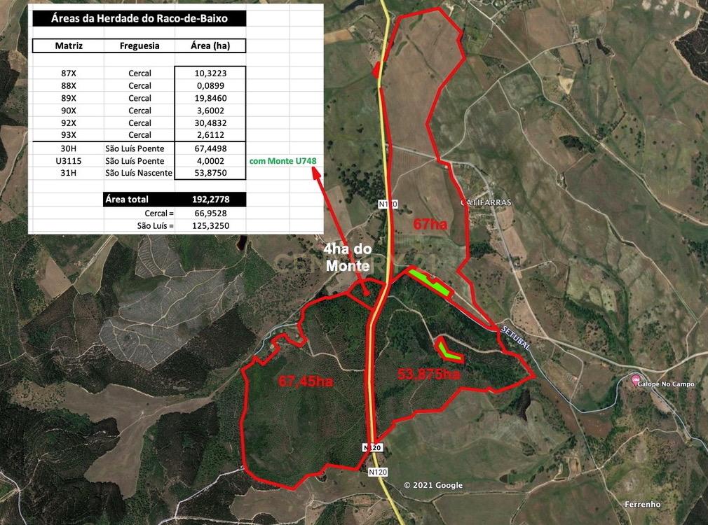 Herdade Raco-de-Baixo - Image 5