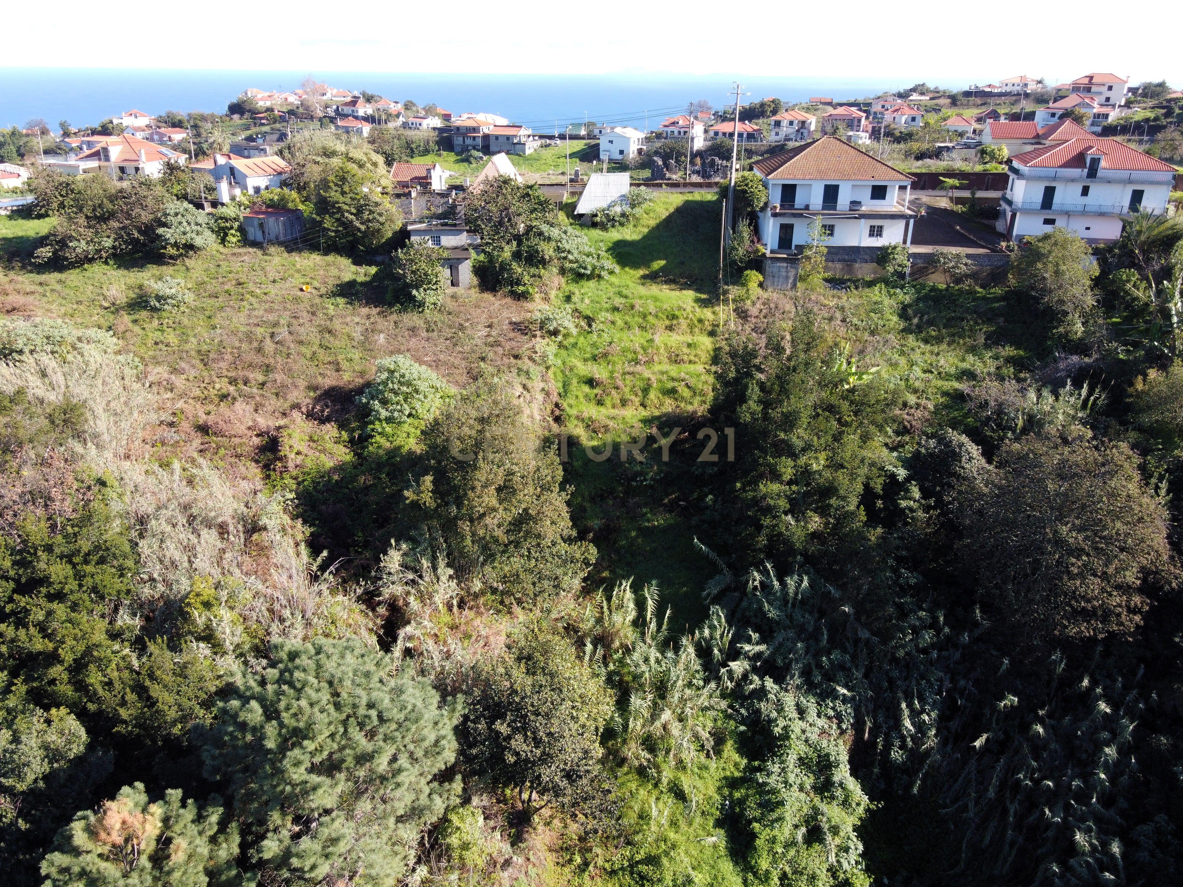 Terreno Laurissilva - Santana - Image 14