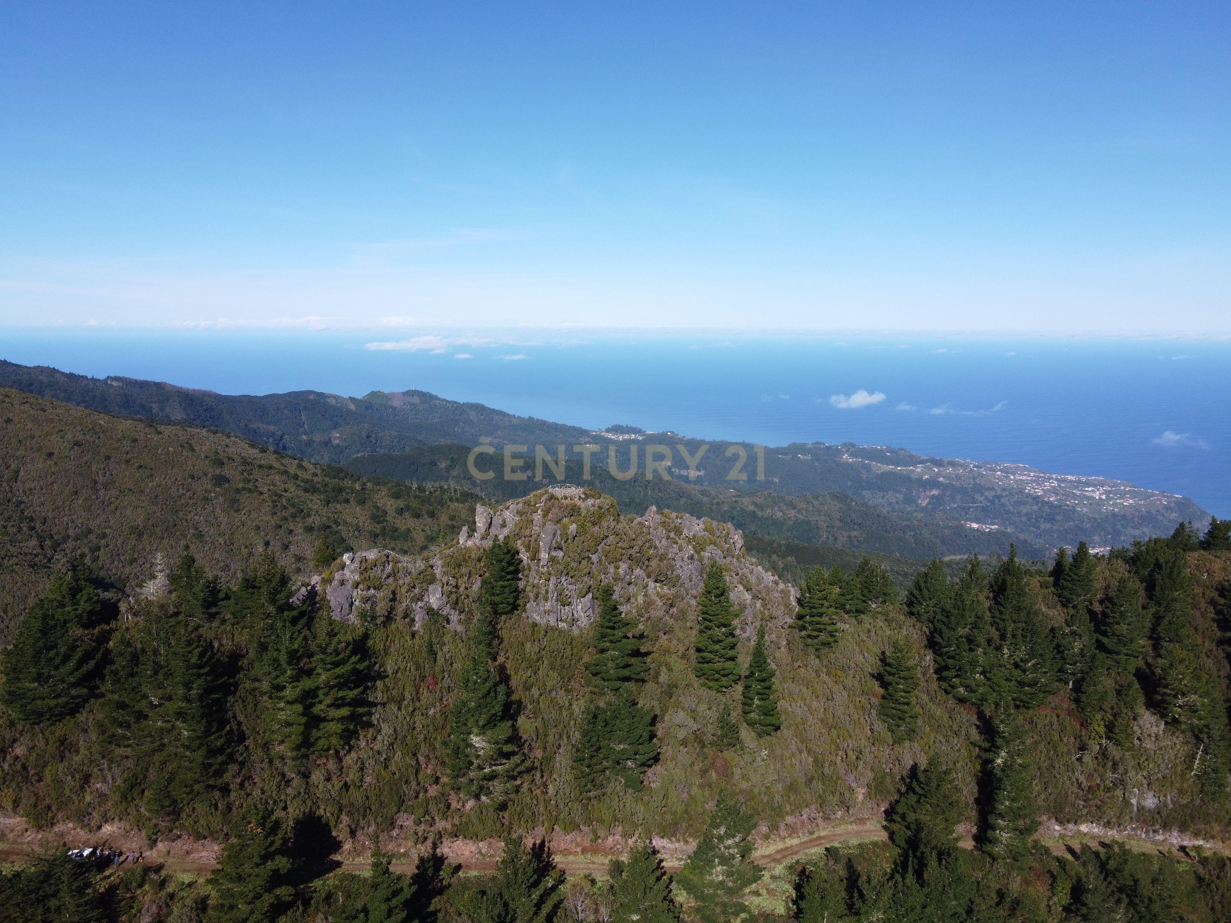 Terreno Laurissilva - Santana - Image 3