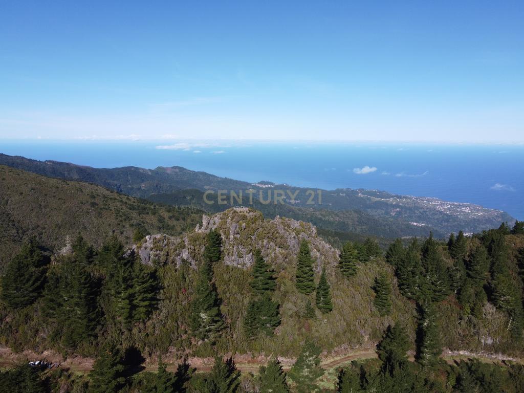 Terreno Laurissilva - Santana - Image 3