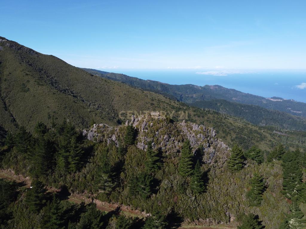 Terreno Laurissilva - Santana - Image 11