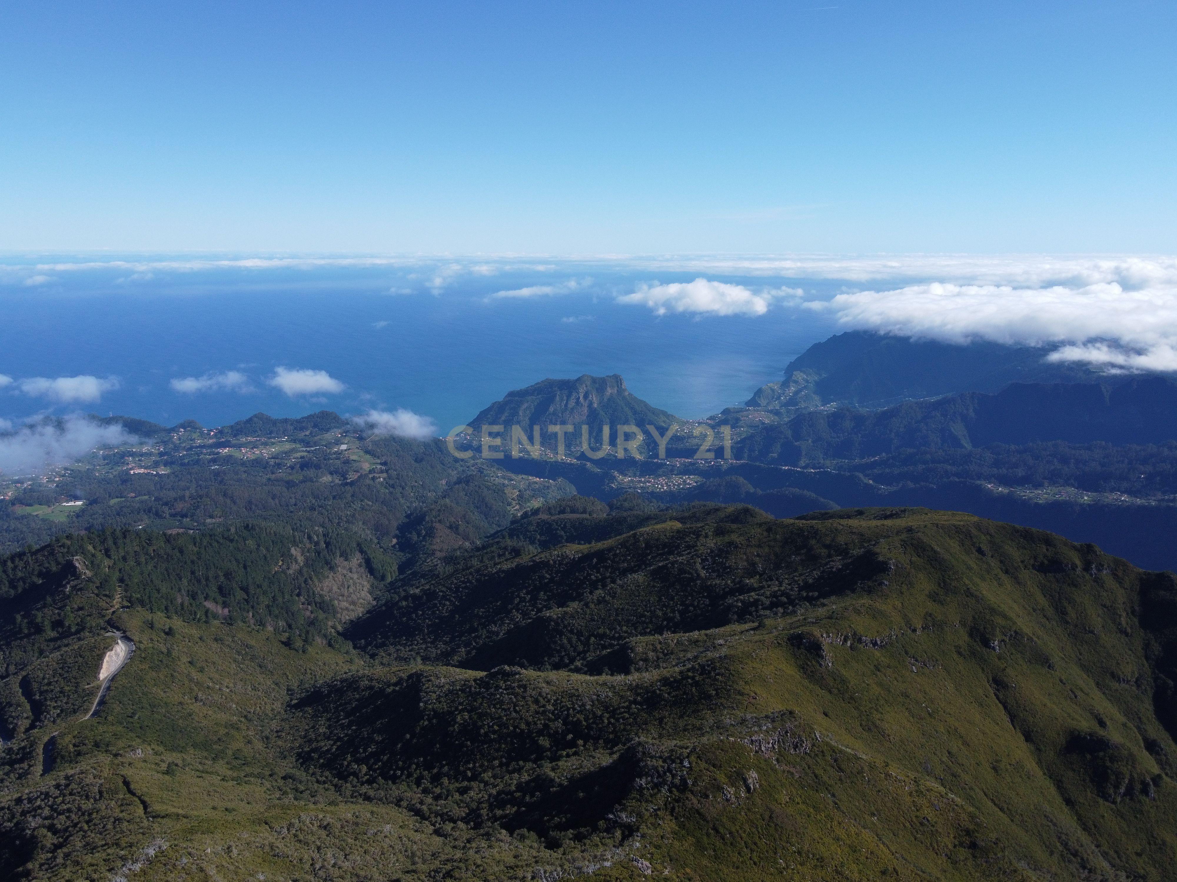 Terreno Laurissilva - Santana - Image 5