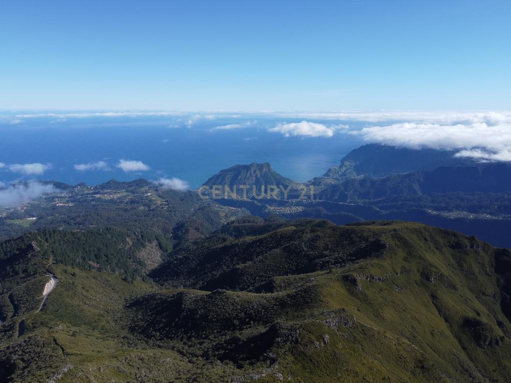 Terreno Laurissilva - Santana - Image 5