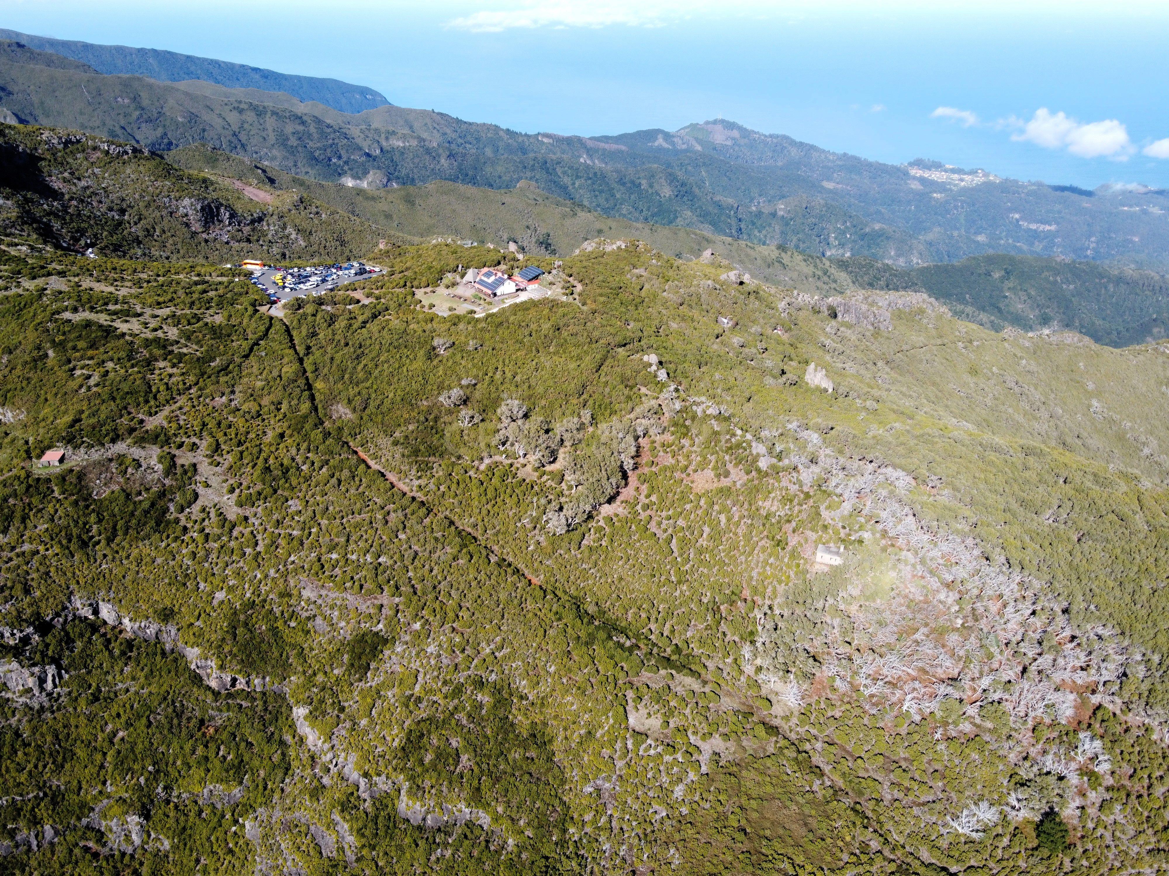 Terreno Laurissilva - Santana - Image 6