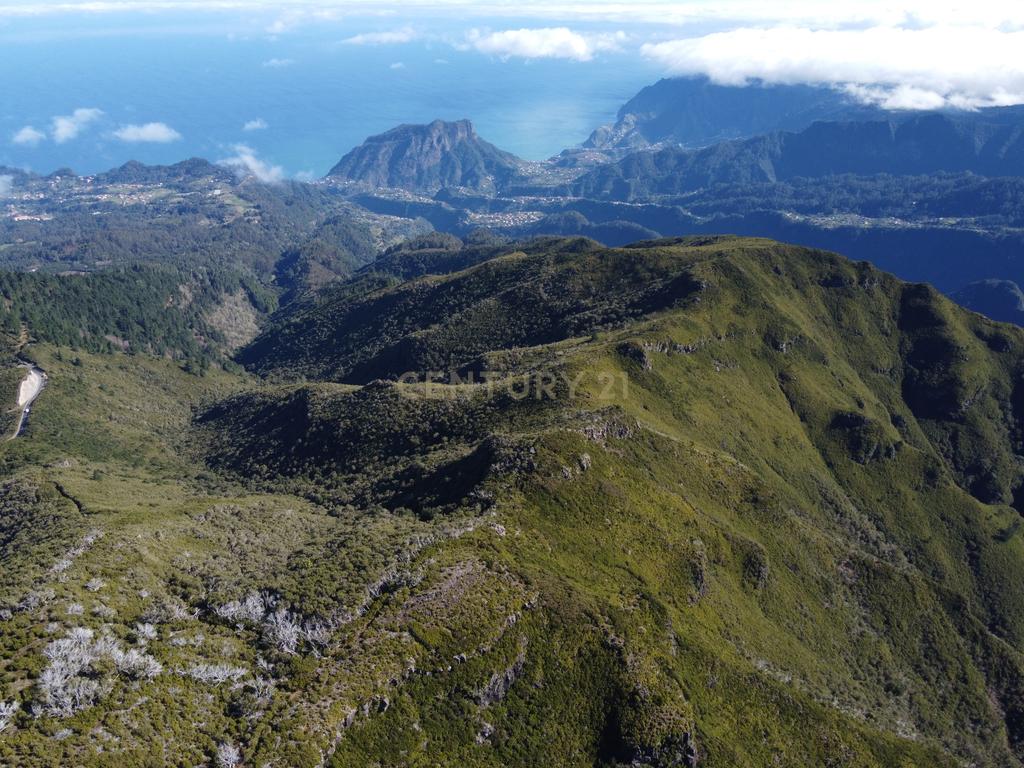 Terreno Laurissilva - Santana - Image 7