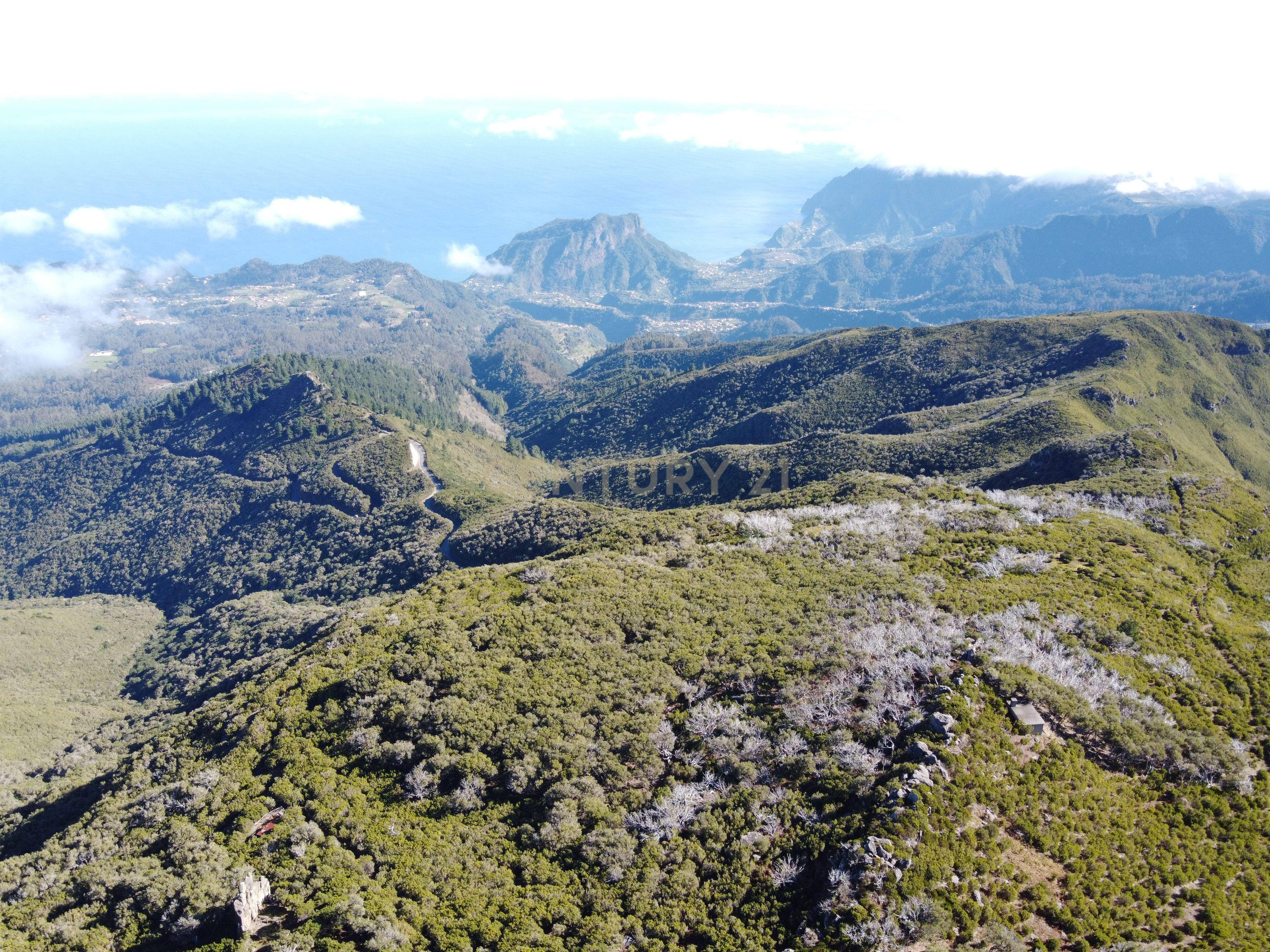 Terreno Laurissilva - Santana - Image 8