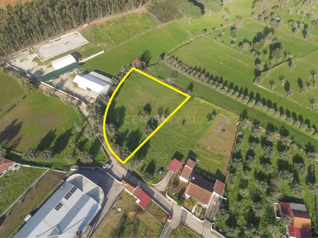 Terreno com viabilidade de Construção em Cernache, Coimbra. - Image 9