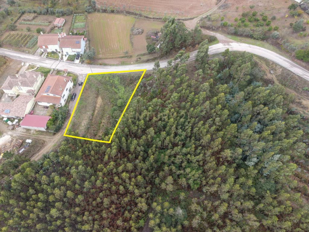 Lote de terreno - Vila Nova de Poiares - Image 4