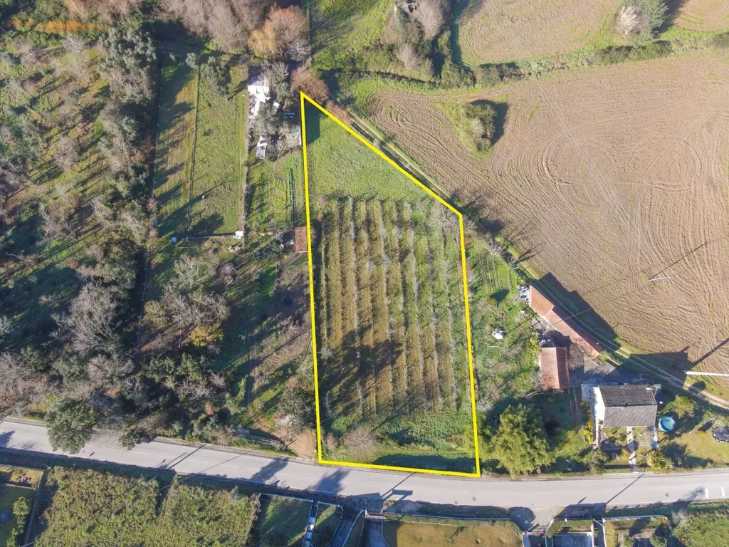 Terreno para construção com poço - Lousã - Image 6