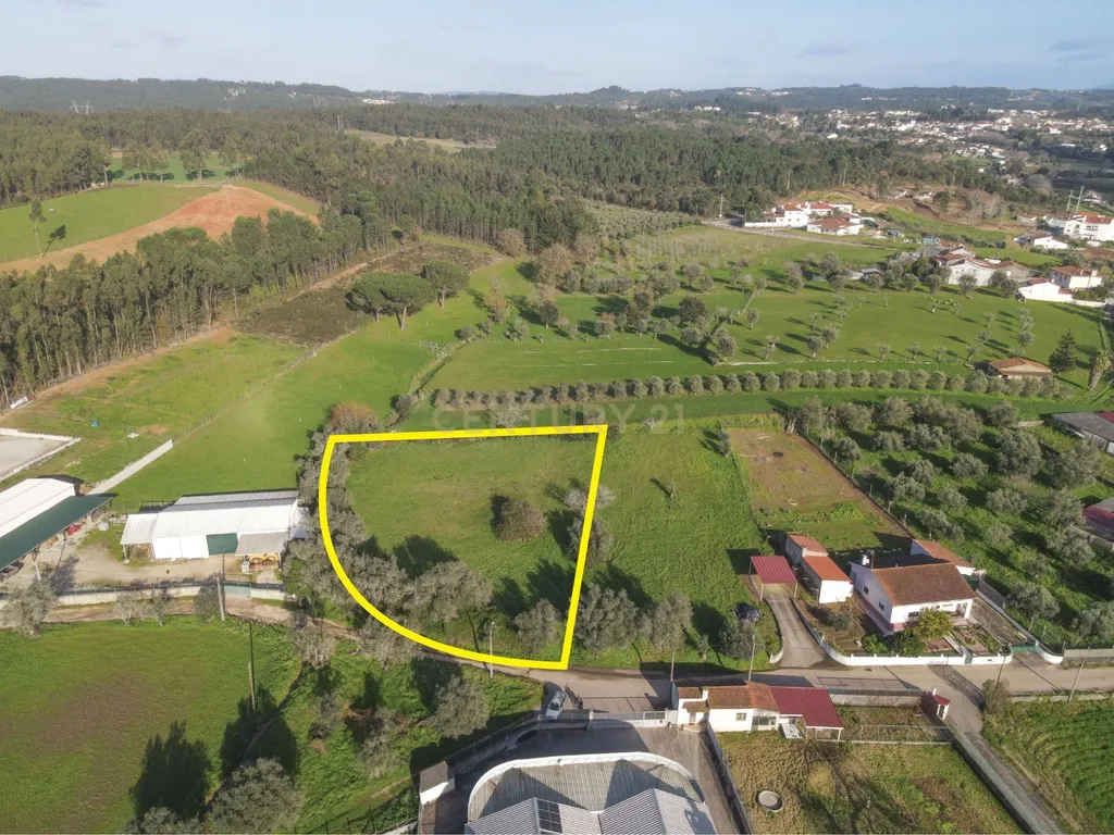 Terreno com viabilidade de Construção em Cernache, Coimbra. - Image 8